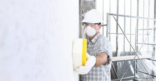 Best Commercial Mold Inspection in East Palestine, OH